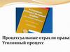 Процессуальные отрасли права. Уголовный процесс