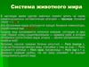 Система животного мира