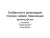 Особенности организации плоских червей. Важнейшие ароморфозы