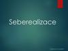 Seberealizace