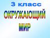 Европа. Северные страны. 3 класс