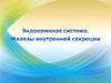 Эндокринная система. Железы внутренней секреции