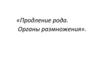 Продление рода. Органы размножения