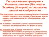 Гистологические препараты к итоговым занятиям и экзамену по гистологии, цитологии и эмбриологии