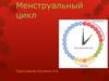 Менструальный цикл