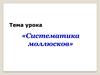 Систематика моллюсков. Тип Моллюски