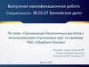 Выпускная квалификационная работа: Организация безналичных расчетов с использованием пластиковых карт