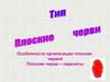 Тип Плоские черви. Особенности организации плоских червей. Плоские черви – паразиты