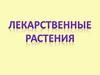 Лекарственные растения