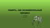 Память, как познавательный процесс