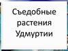 Съедобные растения Удмуртии