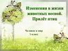 Изменения в жизни животных весной. Прилет птиц