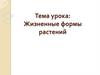 Жизненные формы растений