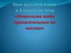 Изменение имён прилагательных по числам