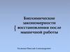 Биохимические закономерности восстановления после мышечной работы