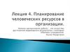 Планирование человеческих ресурсов в организации
