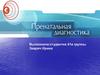 Перинатальная диагностика