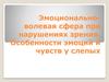 Эмоционально-волевая сфера при нарушениях зрения. Особенности эмоций и чувств у слепых