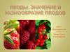 Плоды. Значение и разнообразие плодов