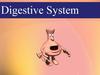 Digestive System