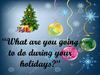 What are you going to do during your holidays?