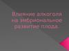 Влияние алкоголя на эмбриональное развитие плода