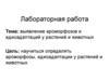 Выявление ароморфозов и идиоадаптаций у растений и животных. Лабораторная работа