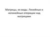 Матрицы, их виды. Линейные и нелинейные операции над матрицами