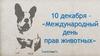 Международный день прав животных