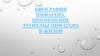 Биография Пифагора. Применение теоремы Пифагора в жизни