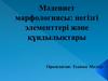 Мәдениет марфологиясы: негізгі элементтері және құндылықтары