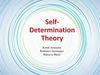 Self-Determination Theory