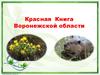Красная Книга Воронежской области. Первое издание Красной книги Воронежской области