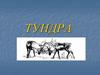 Тундра. Климат в тундре