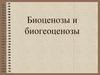 Биоценозы и биогеоценозы. Понятие о биогеоценозе