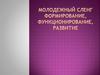 Молодежный сленг. Формирование, функционирование развитие