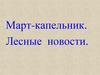 Правила поведения в лесу весной