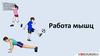 Работа мышц