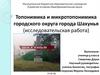 Топонимика и микротопонимика городского округа города Шахунья