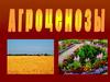 Агроценозы
