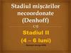 Stadiul mișcărilor necoordonate (Denhoff)