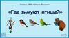 Где зимуют птицы