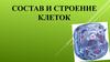 Состав и строение клеток