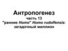 Антропогенез. "ранние Homo" Homo rudolfensis: загадочный миллион. (часть 13)