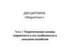 Теоретические основы маркетинга и его особенности в сельском хозяйстве
