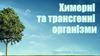Химерні та трансгенні організми
