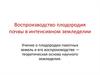 Растениеводство. Воспроизводство плодородия почвы в интенсивном земледелии