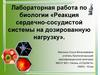 Реакция сердечно-сосудистой системы на дозированную нагрузку. Лабораторная работа