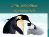 Викторина "Эти забавные животные"