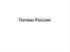 Почвы России